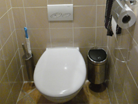 WiCi Bati Wand WC mit integriertem Handwaschbecken - Herr D (Frankreich - 69)