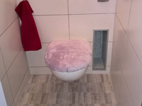 WiCi Next platzsparende kompakte Handwaschbecken auf Hange WC - Herr P (Deutschand)